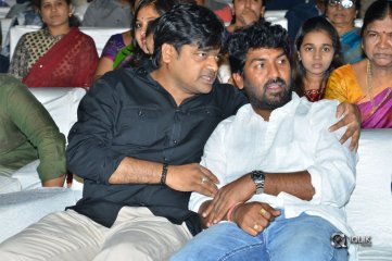 Nela Ticket Movie Audio Launch Photos